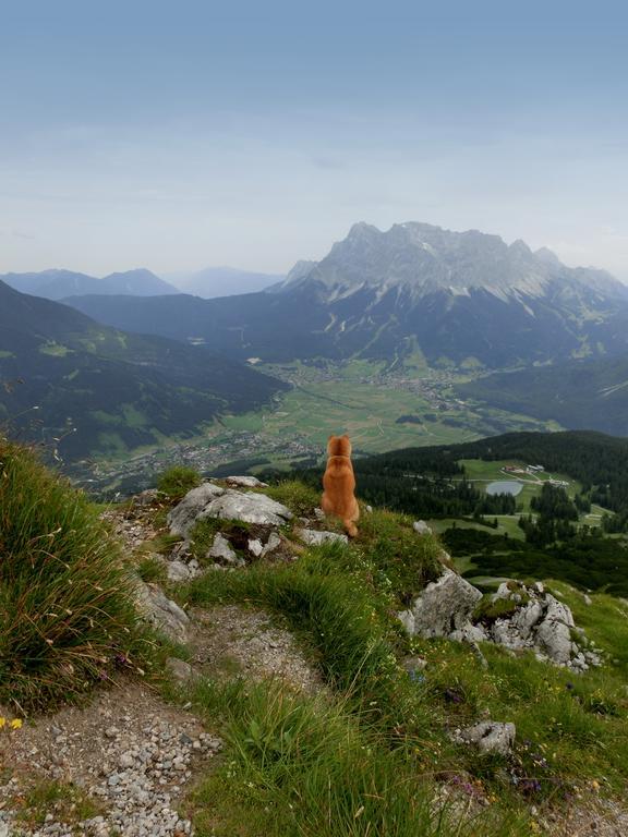 Отель Haus Bergfrieden Лермос Экстерьер фото